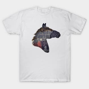 USA Democracy Burro T-Shirt